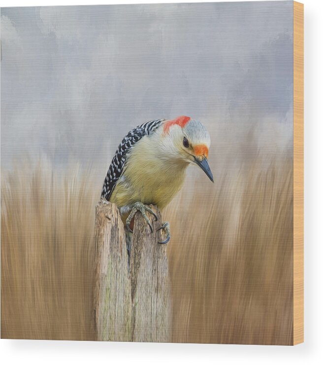 Woodpecker Wood Print featuring the photograph The Woodpecker by Cathy Kovarik