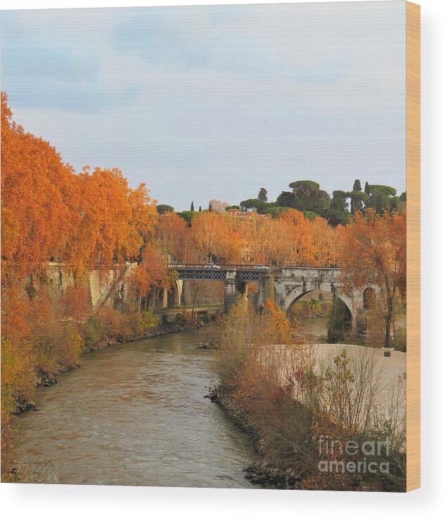 Rome Wood Print featuring the photograph Tiber River in Autumn 2 by Laurie Morgan
