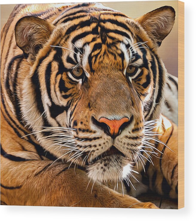 Asia Wood Print featuring the photograph Tiger by Maria Coulson
