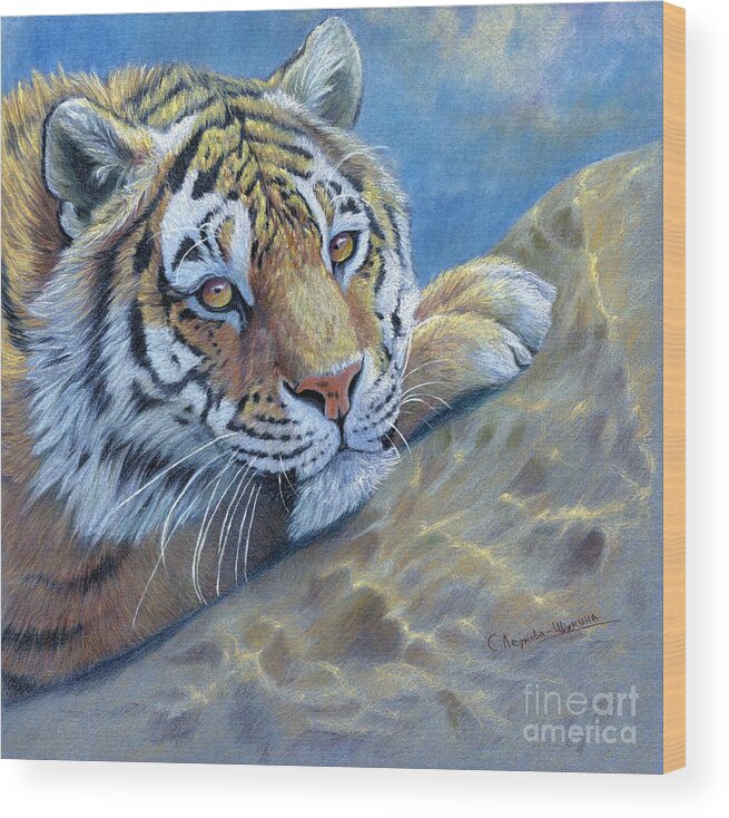 Nature Wood Print featuring the drawing Tiger on the Rock by Svetlana Ledneva-Schukina
