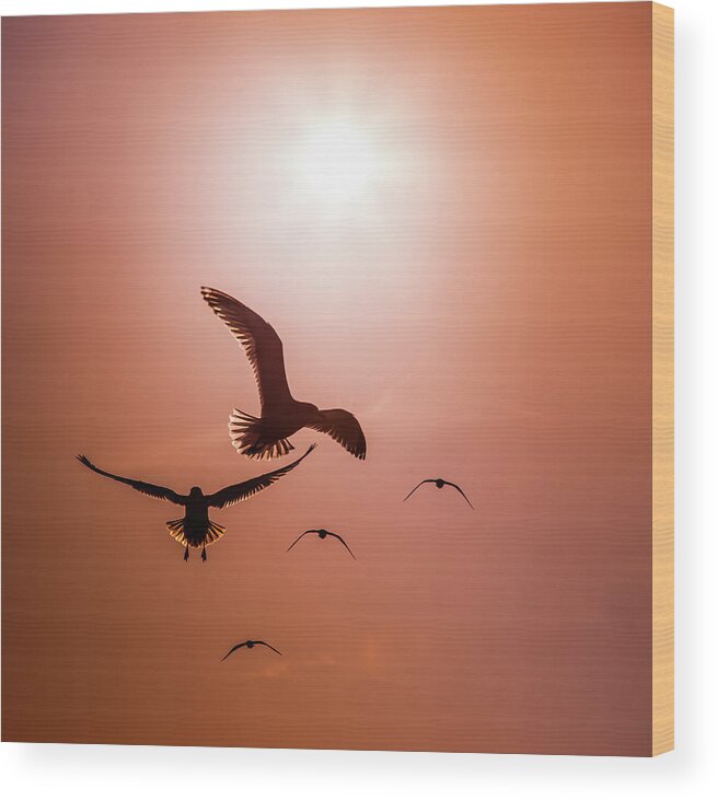 Seagull Silhouettes Wood Print featuring the photograph TO BE FREE by KAREN WILES by Karen Wiles