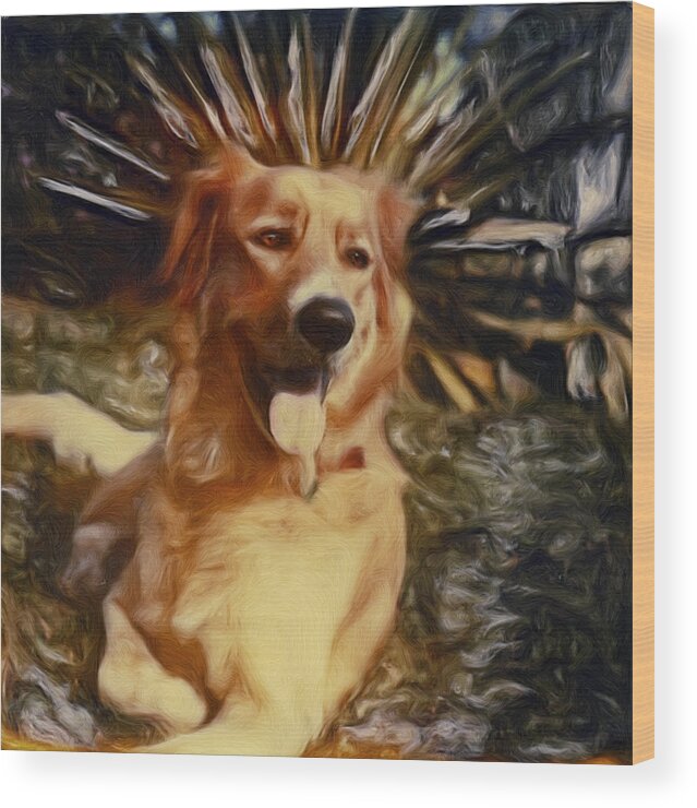Dog Wood Print featuring the photograph Top Dog by Lou Novick