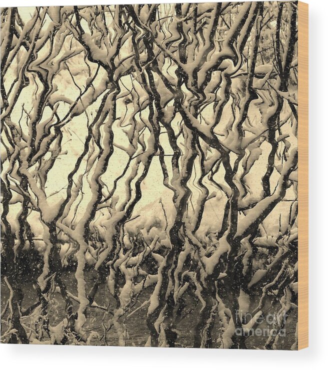 Digital Effects Wood Print featuring the photograph Winter Frenzy by Rosanne Licciardi