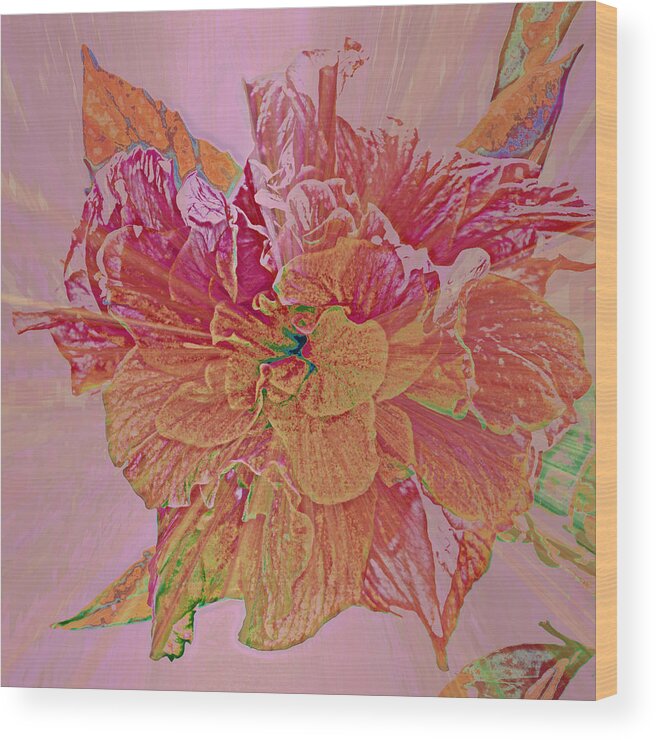 Tropical Wood Print featuring the photograph Tropical Beauty by Rose Hill
