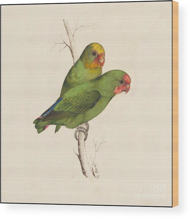 Two Small Green Birds Hand - Colored Lithograph Wood Print featuring the painting Two small green birds hand by MotionAge Designs