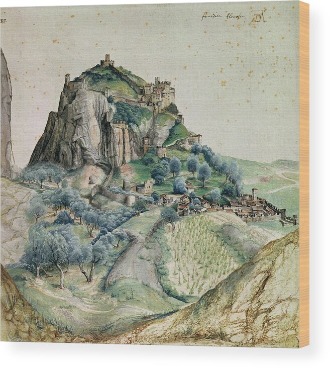 Albrecht Durer Wood Print featuring the painting View Of The Arco Valley In The Tyrol by MotionAge Designs