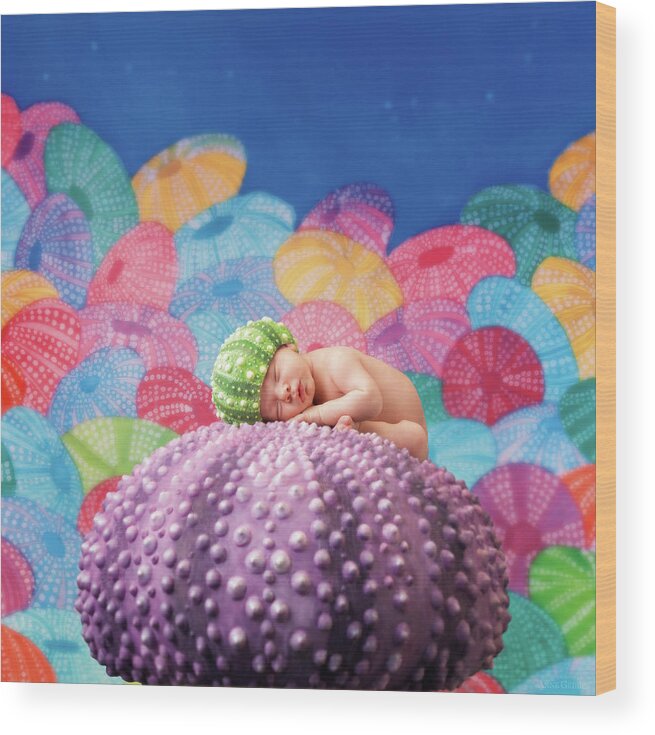 Under The Sea Wood Print featuring the photograph Vince as a Sea Urchin by Anne Geddes