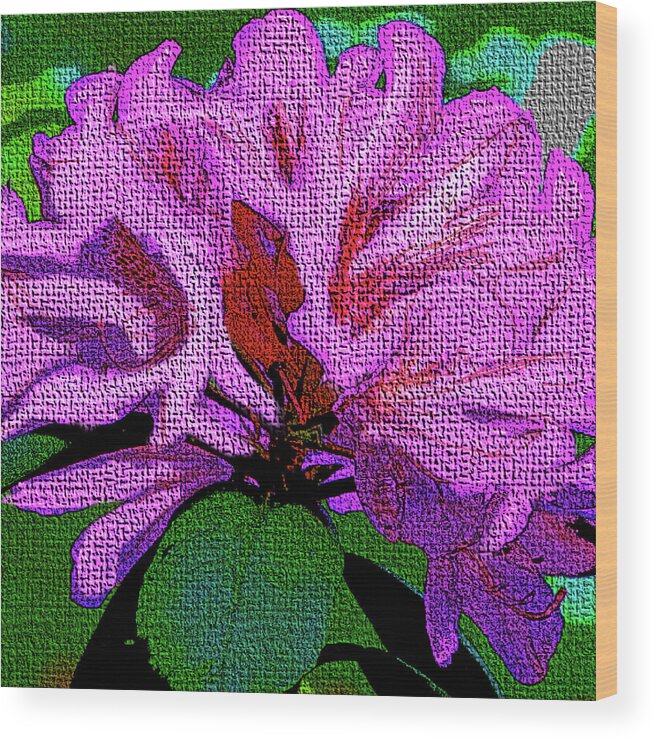 Flowers Wood Print featuring the digital art Violet Azalea by Rod Whyte