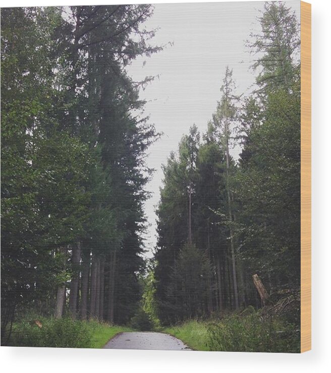 Calm Wood Print featuring the photograph Calm by Gypsy Heart