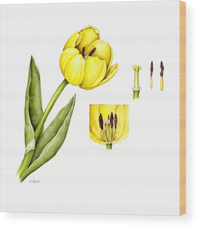 Flower Wood Print featuring the painting Watercolor Flower Yellow Tulip by Karla Beatty