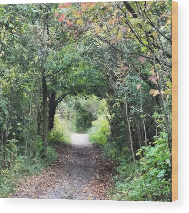 Path Wood Print featuring the photograph Welcome to the Wooded Path by Vic Ritchey