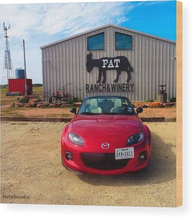 Winerytour Wood Print featuring the photograph Well, It Is #miatamonday And It Was Too by Austin Tuxedo Cat