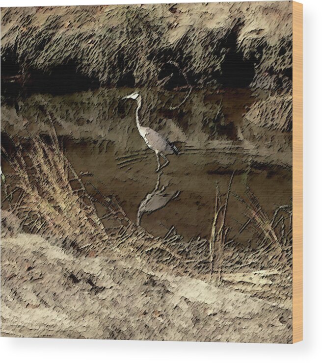  Wood Print featuring the photograph Wetlands by Mark Alesse