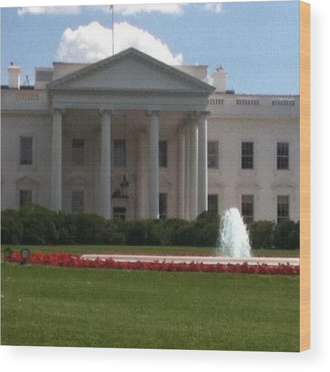 White Wood Print featuring the photograph White House by Jessica Cistrelli