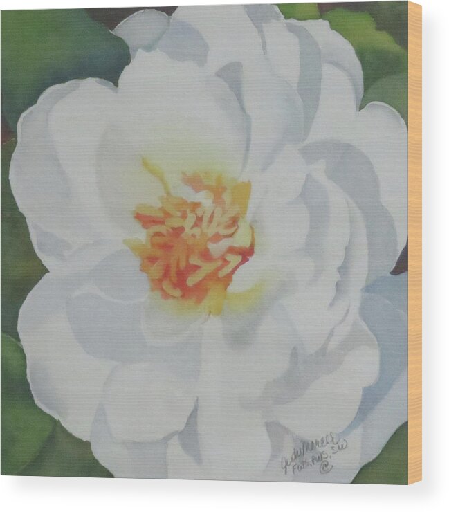Floral Wood Print featuring the painting White Rose by Judy Mercer