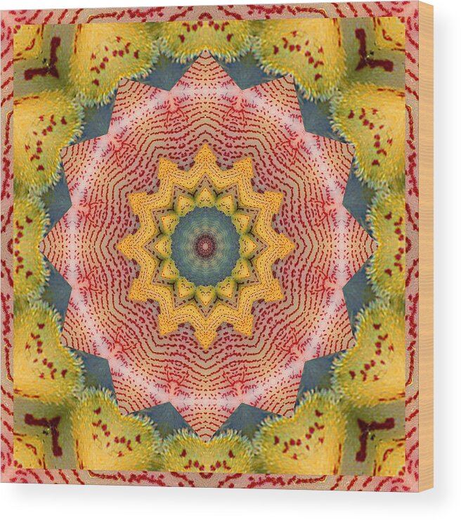 Mandalas Wood Print featuring the photograph Wholeness by Bell And Todd