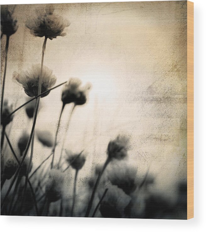 Flower Wood Print featuring the photograph Wild Things - Number 3 by Dorit Fuhg