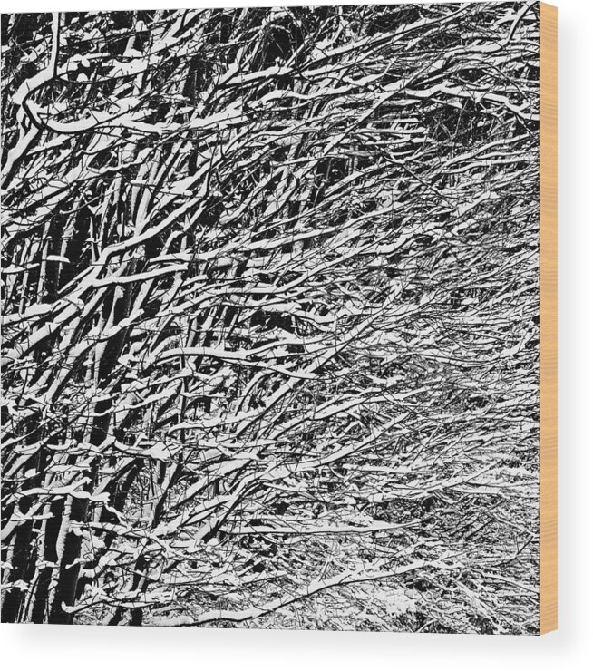 Abstract Wood Print featuring the photograph Winter by Gert Lavsen