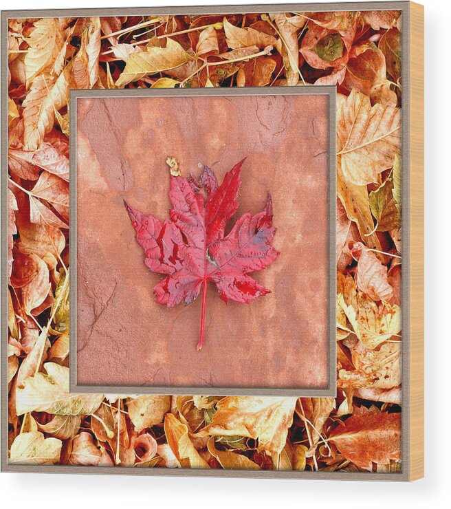 Winter Leaf Wood Print featuring the photograph Winter Leaf In Leaves by James Granberry