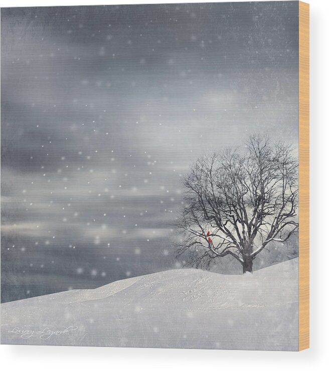 Four Seasons Wood Print featuring the photograph Winter by Lourry Legarde