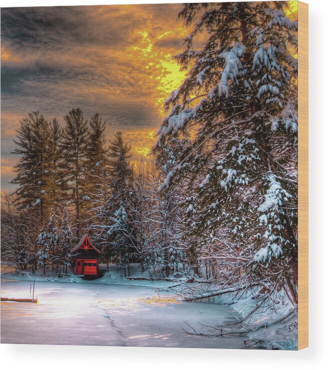 Winter Sun Wood Print featuring the photograph Winter Sun by David Patterson