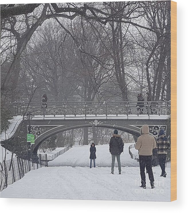 Photography Wood Print featuring the photograph Winter wonderland by Brianna Kelly