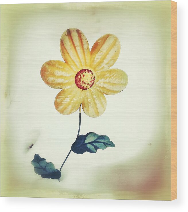 Flower Wood Print featuring the photograph Winters Bloom by Al Harden