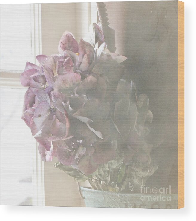 Hydrangea Wood Print featuring the photograph Wistful by Cindy Garber Iverson