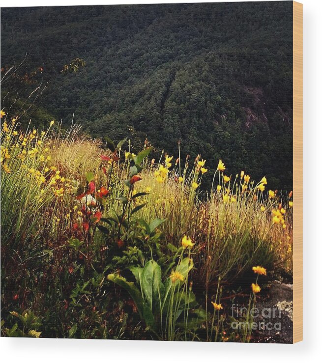 Whiteside Mountain Wood Print featuring the photograph WNC Mountains - Late Summer by Anita Adams