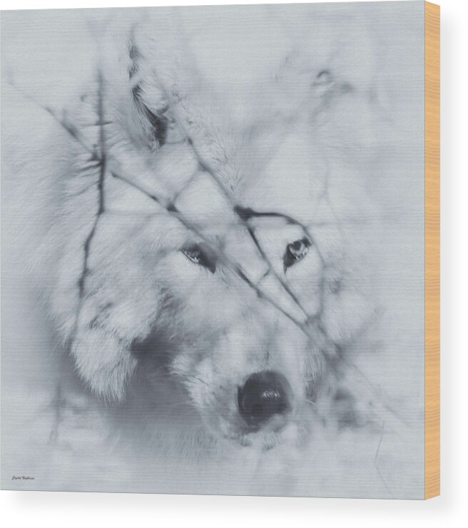Wolf Wood Print featuring the photograph Wolf Portrait by Crystal Wightman