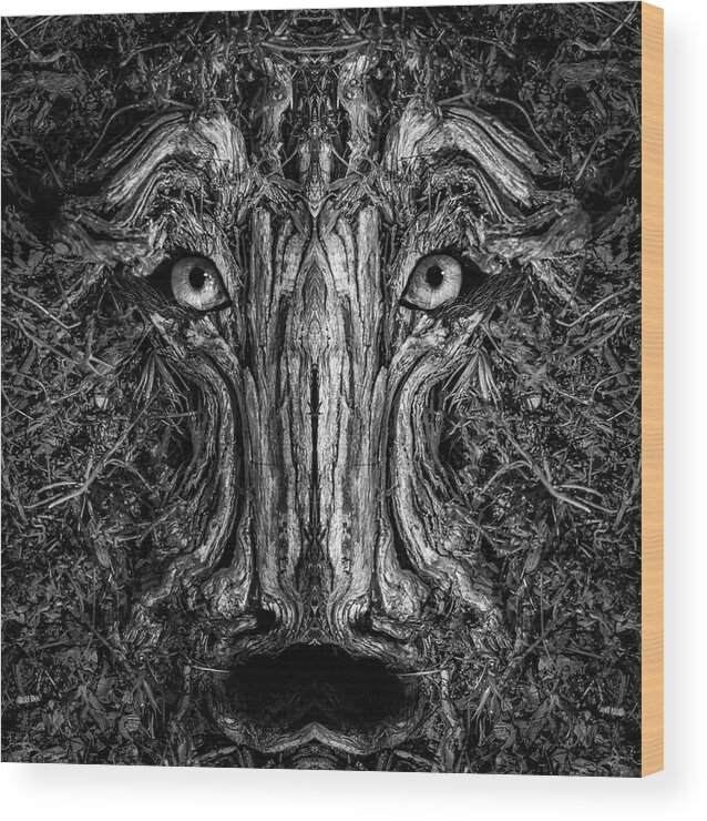 Wood Wood Print featuring the photograph Woody 237 BW by Rick Mosher
