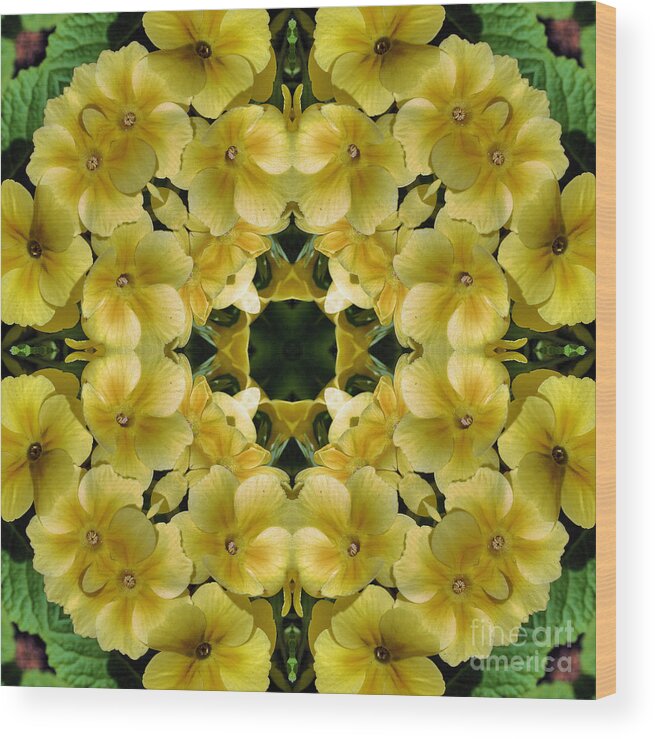 Flower Wood Print featuring the digital art Yellow Primrose Abstract Kaleidoscope by Smilin Eyes Treasures