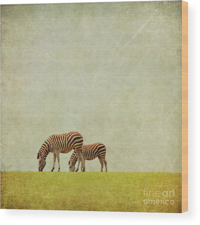 Zebras Wood Print featuring the photograph Zebra by Lyn Randle