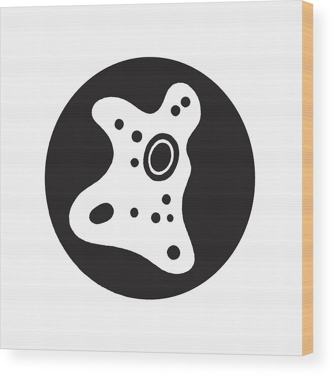 Amoeba Wood Print featuring the drawing Amoeba #1 by CSA Images