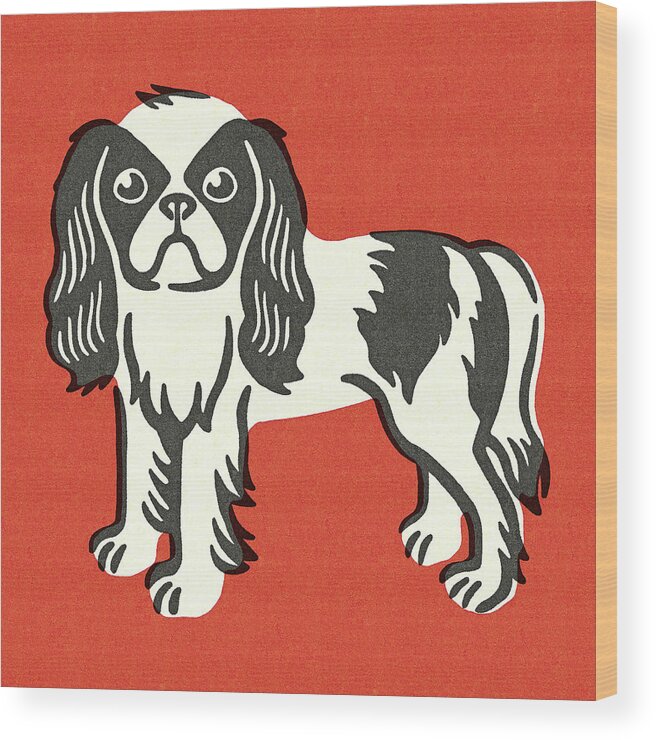 Animal Wood Print featuring the drawing Cavalier King Charles Spaniel Dog #1 by CSA Images