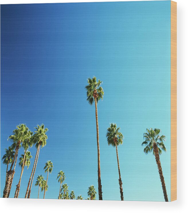 Clear Sky Wood Print featuring the photograph Palm Trees Against Blue Sky #1 by Micha Pawlitzki