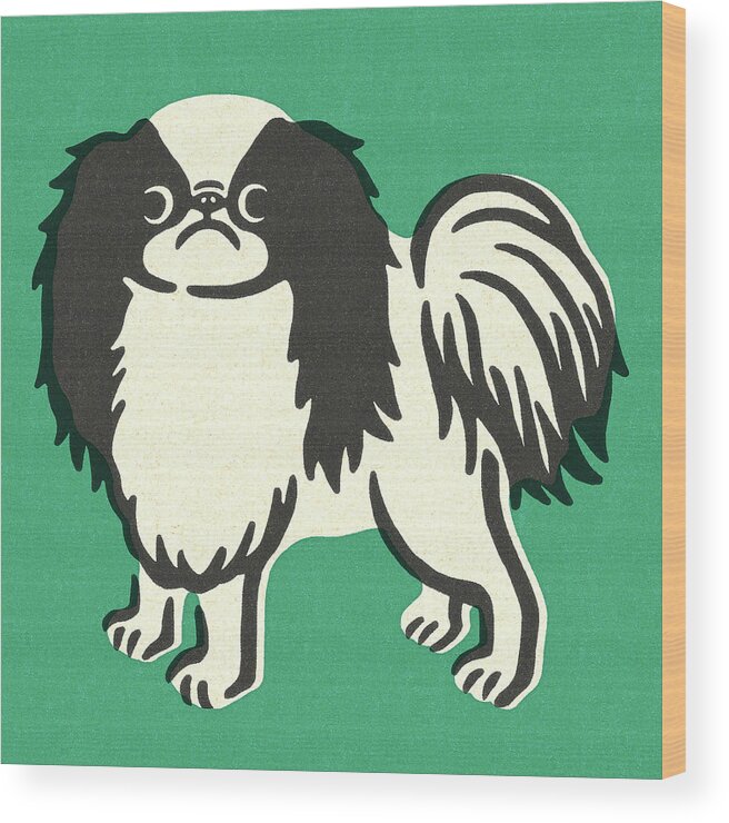 Animal Wood Print featuring the drawing Papillon Dog #1 by CSA Images