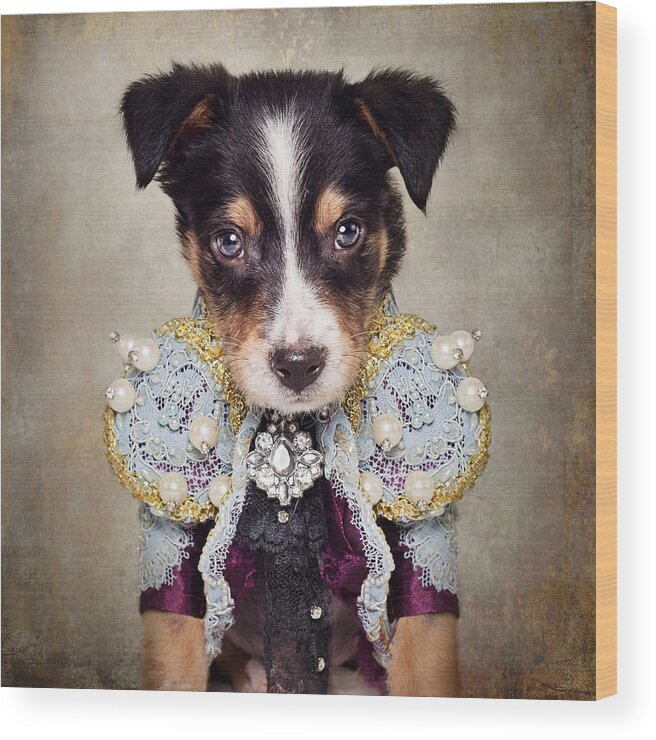 Dog Wood Print featuring the photograph Shelter Pets Project - Loki #1 by Tammy Swarek