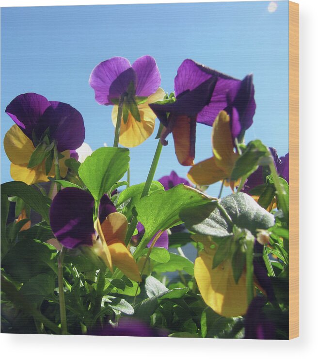Spring Flowers Wood Print featuring the photograph Sky Garden by Jaeda DeWalt