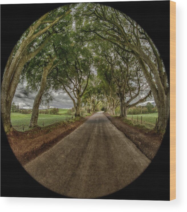 Chriscousins Wood Print featuring the photograph The Dark Hedges #1 by Chris Cousins