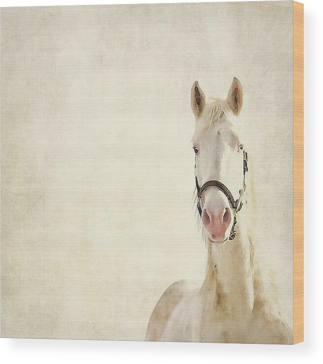 Horse Wood Print featuring the photograph White Horse #1 by Angie Johnson