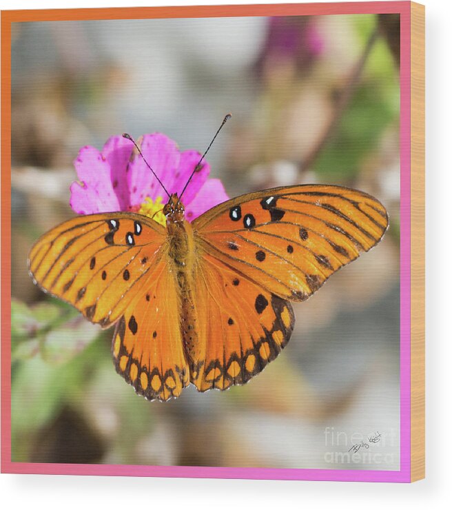 Butterfly Wood Print featuring the photograph Hold That Pose #2 by Billy Knight