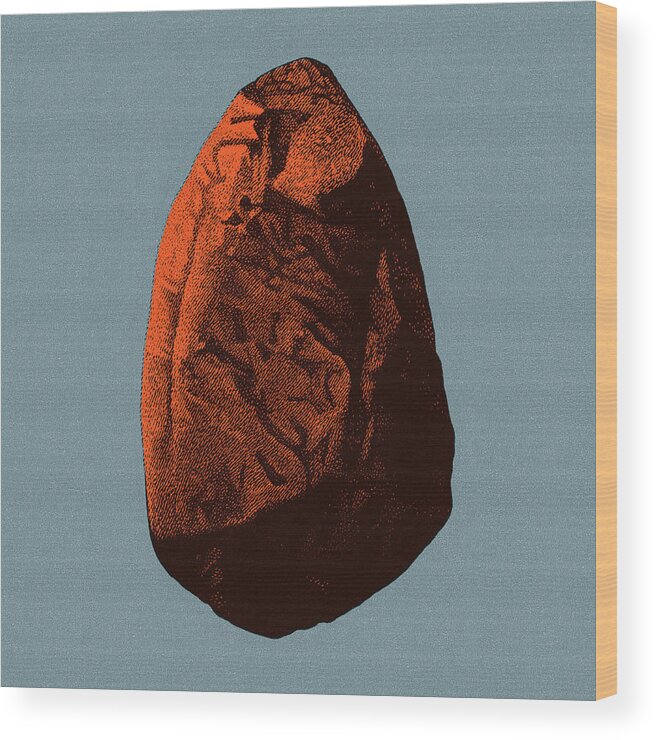 Boulder Wood Print featuring the drawing Large Rock #2 by CSA Images