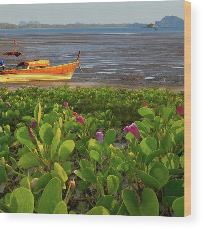 Scenics Wood Print featuring the photograph Long Tail Boat Sits In The Beautiful #2 by Primeimages