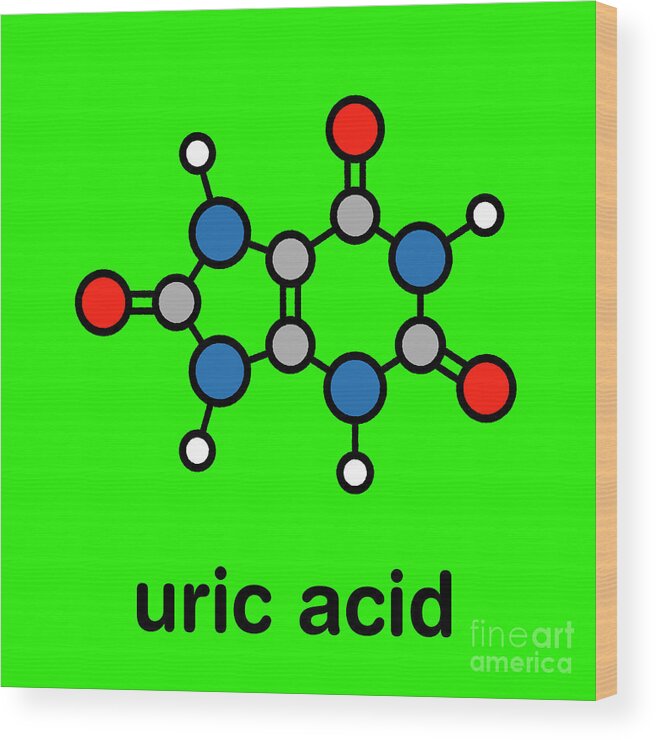 Uric Wood Print featuring the photograph Uric Acid Molecule #2 by Molekuul/science Photo Library