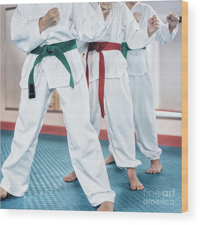 Child Wood Print featuring the photograph Children In Taekwondo Class #8 by Microgen Images/science Photo Library