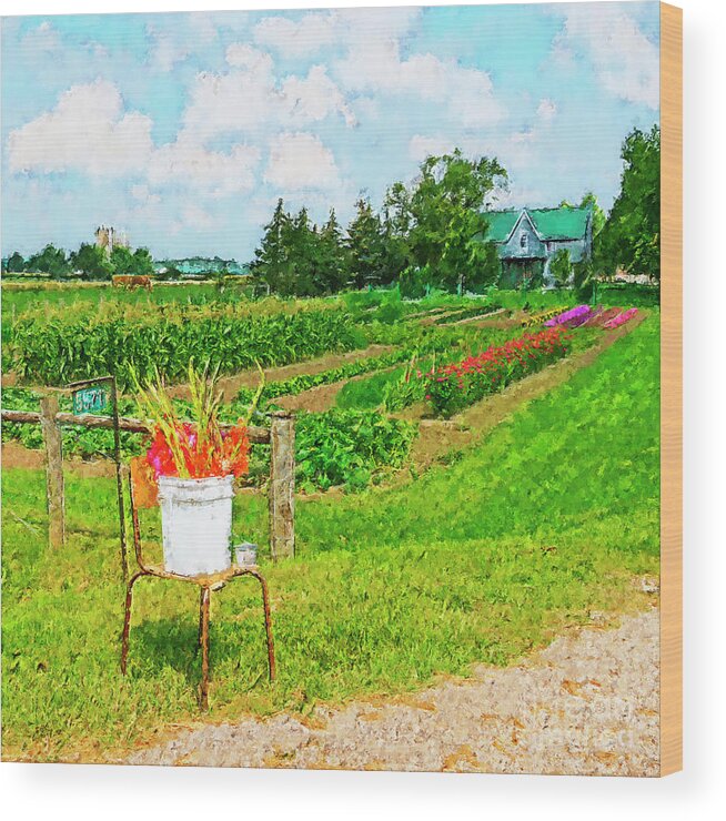 Square Wood Print featuring the photograph A Country Garden by Lenore Locken