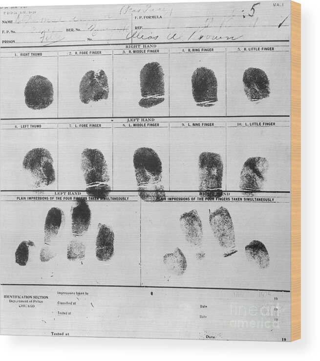 People Wood Print featuring the photograph Al Scarface Capones Fingerprints by Bettmann