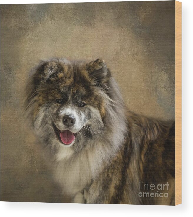 Akita Wood Print featuring the photograph American Akita by Eva Lechner