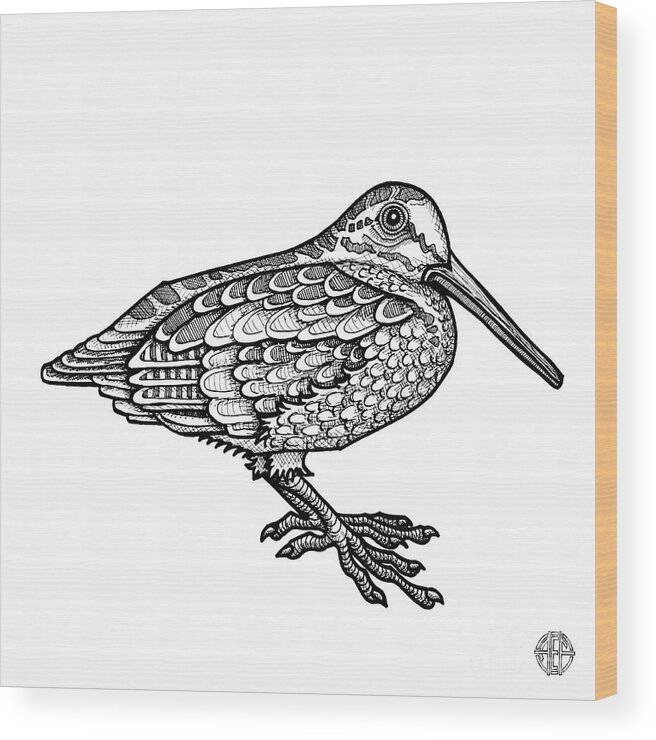 Animal Portrait Wood Print featuring the drawing American Woodcock by Amy E Fraser